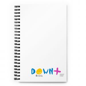 Spiral notebook