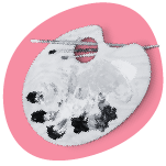 Personaliza
